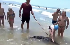 A Russian man has been arrested after he was filmed taking his pet crocodile to the beach on a leash and then allowing children to pet it.